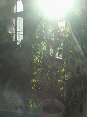 PICT0089.JPG
