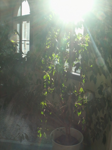 PICT0089.jpg
