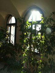 PICT0090.JPG