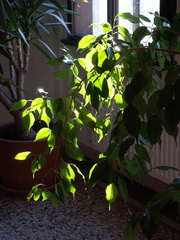 PICT0091.JPG