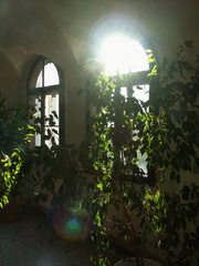 PICT0100.JPG